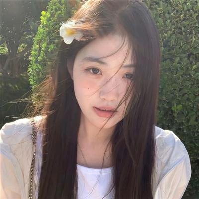 高台家的成员