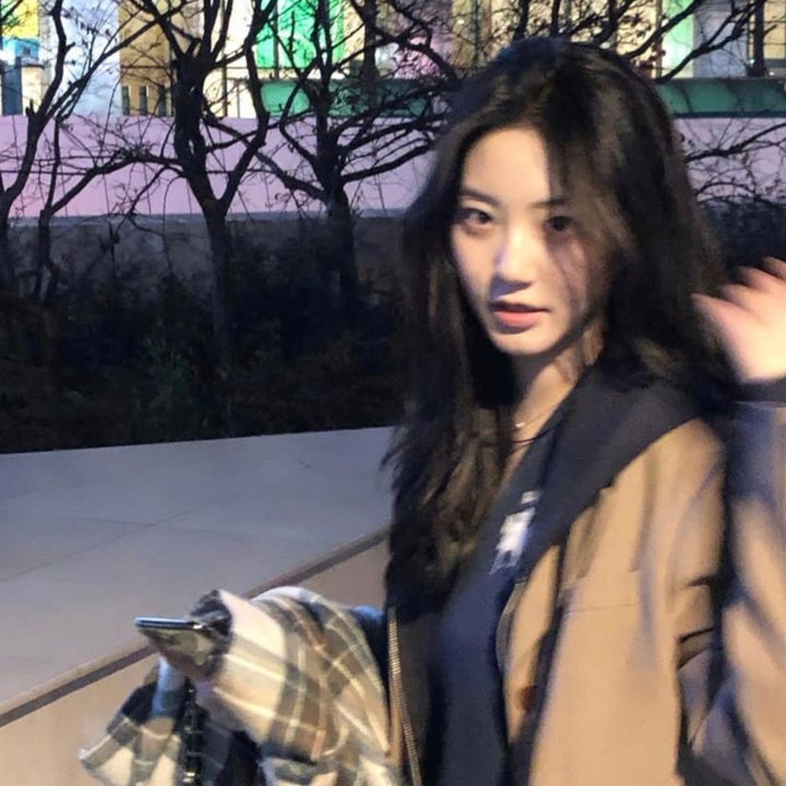 莱芬斯坦：影像的背叛