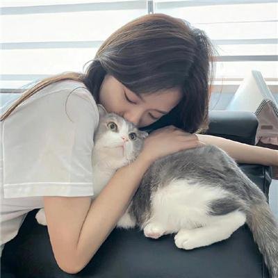 内华达搜熊犬